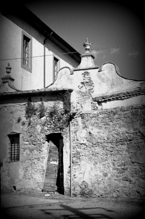 Certosa - particolare 1